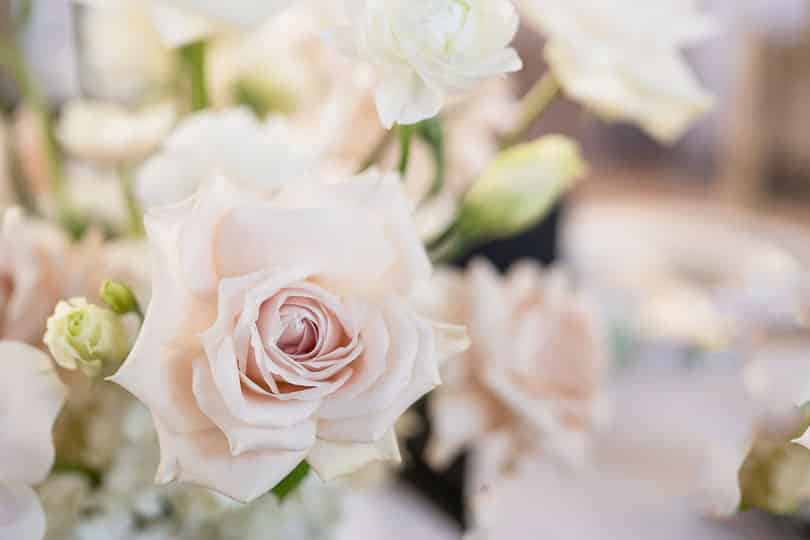 wedding flowers