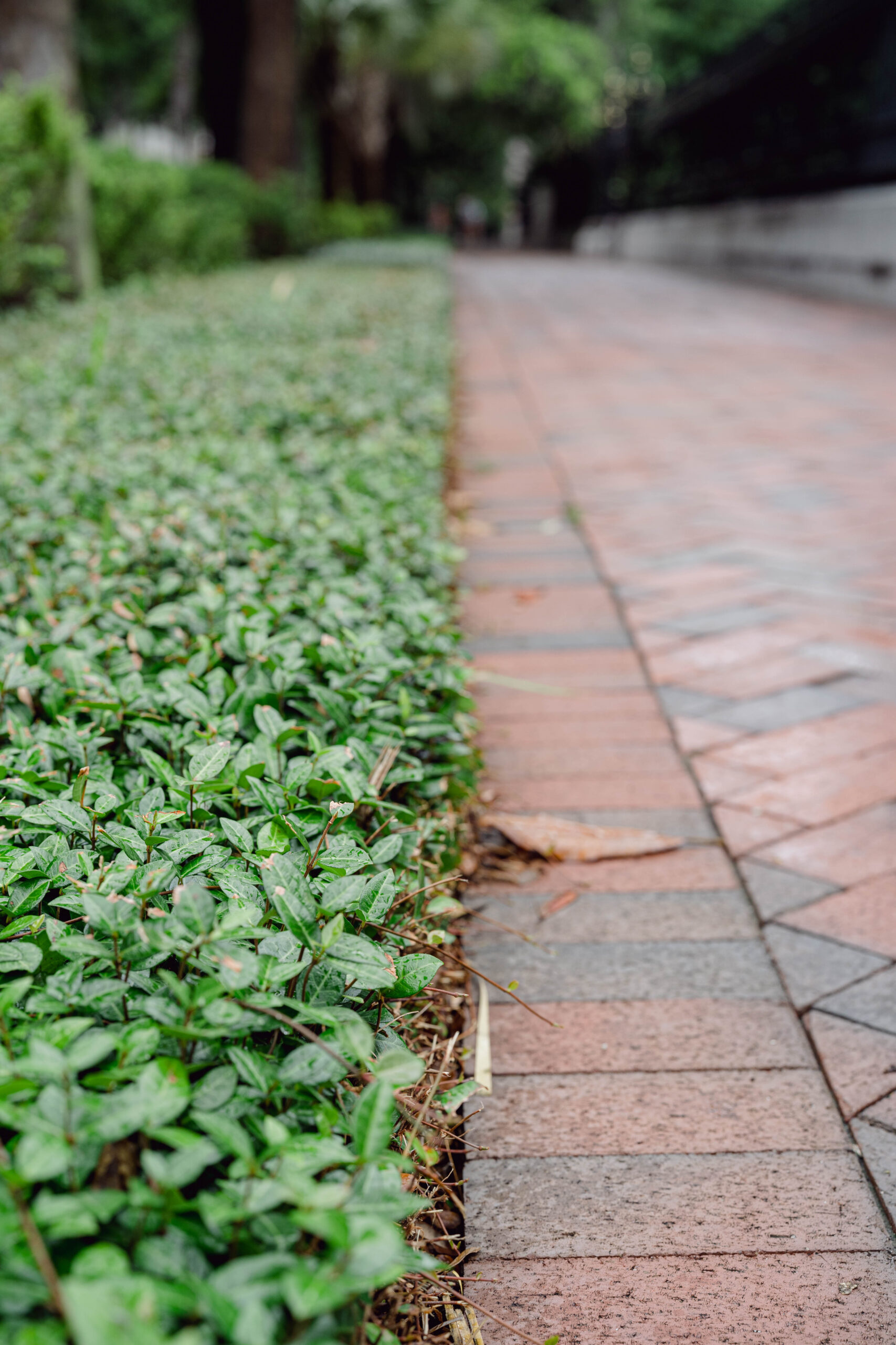 Brick path Savannah GA Forsyth Park travel photography