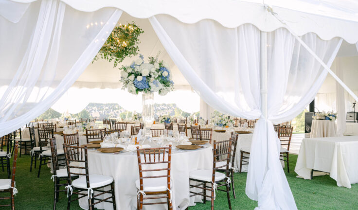 The club at Old Hawthorne wedding