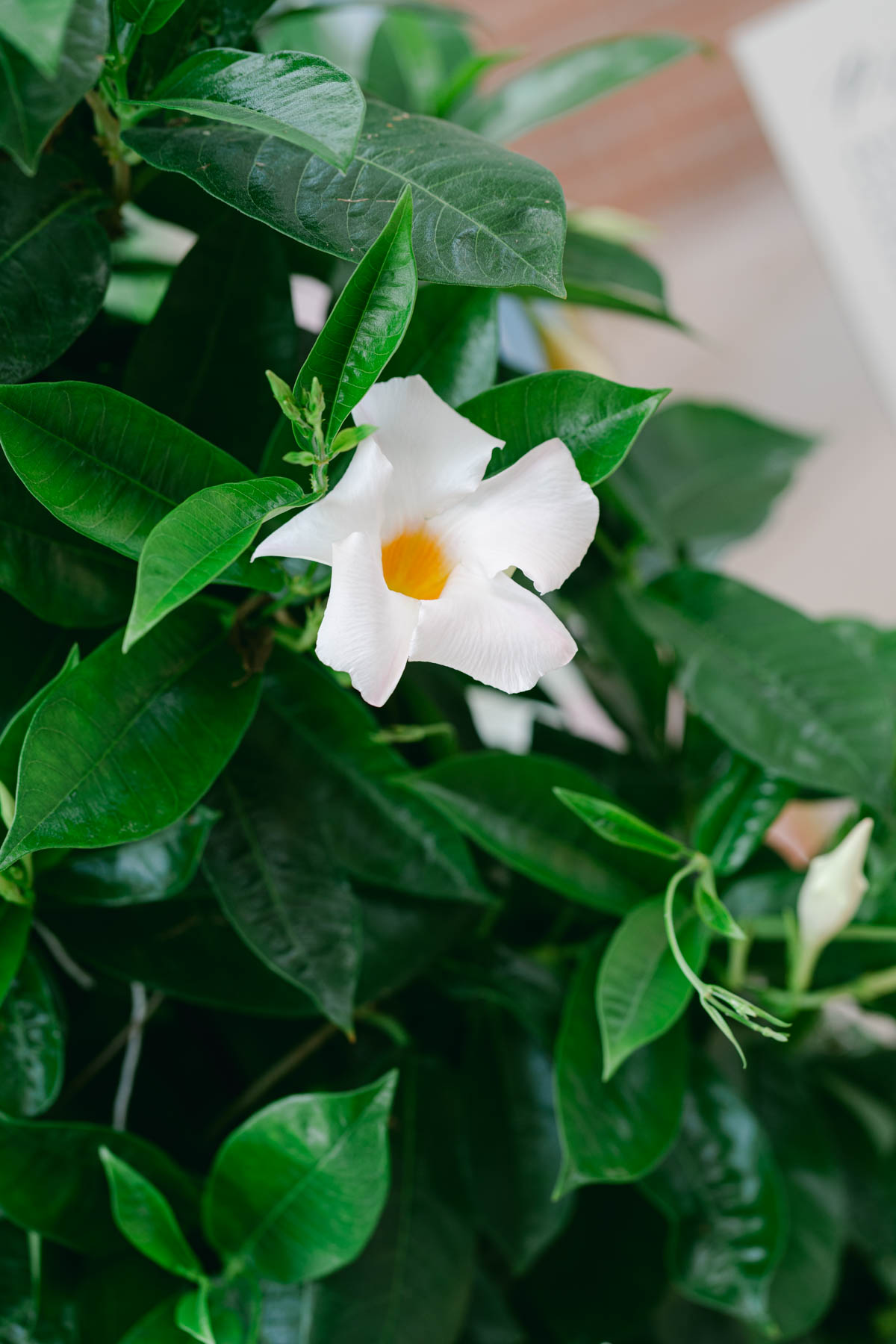 Photo by The Bennetts of wedding couple